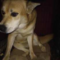 Thumbnail photo of Micco  #2