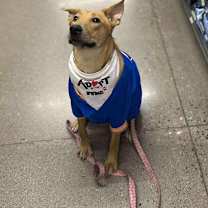 Thumbnail photo of Fannie Mae #2