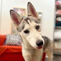 Thumbnail photo of Madame Cleo is your future #1