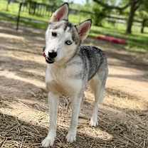 Thumbnail photo of Madame Cleo is your future #3