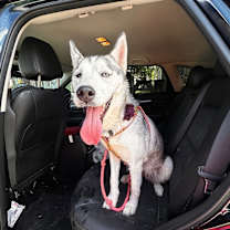 Thumbnail photo of Madame Cleo is your future #4