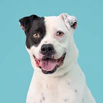 Thumbnail photo of Billion #1