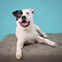 Thumbnail photo of Billion #2