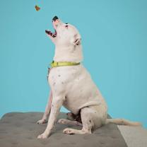 Thumbnail photo of Billion #3