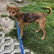 Thumbnail photo of Kyle #1