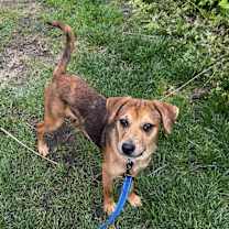 Thumbnail photo of Kyle #2