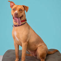 Thumbnail photo of Lola #3