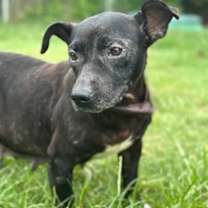 Thumbnail photo of Bessie #1