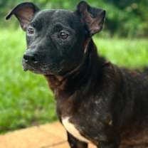 Thumbnail photo of Bessie #3