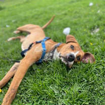 Thumbnail photo of Boston #2