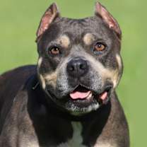 Thumbnail photo of May (Medical Hold HWT) #1