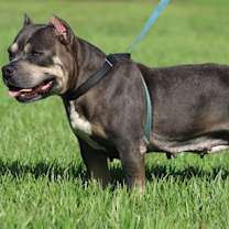 Thumbnail photo of May (Medical Hold HWT) #4