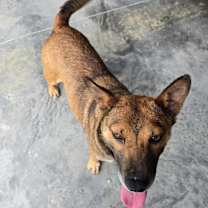 Thumbnail photo of Girlie #2