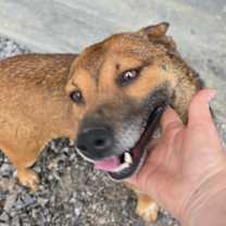 Thumbnail photo of Girlie #3