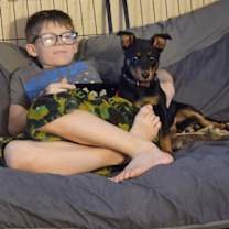 Thumbnail photo of Harley #4