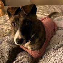 Thumbnail photo of Jade #1