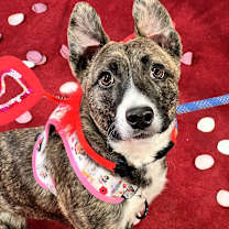 Thumbnail photo of Jade #4