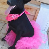 Thumbnail photo of Dori #3