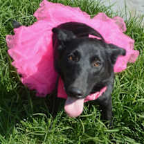 Thumbnail photo of Dori #4