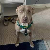 Thumbnail photo of Cash #1