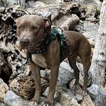 Thumbnail photo of Cash #2