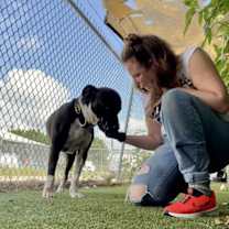 Thumbnail photo of Jack #2