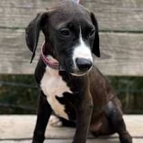 Thumbnail photo of Squirt #3