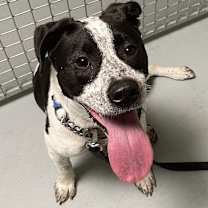 Thumbnail photo of Gunner #1