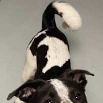 Thumbnail photo of Gunner #3