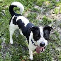 Thumbnail photo of Gunner #4