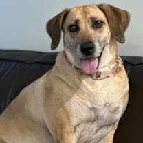 Thumbnail photo of Lexie #4