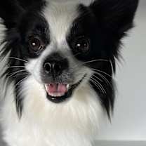 Thumbnail photo of Athena #3