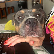 Thumbnail photo of Iris #2