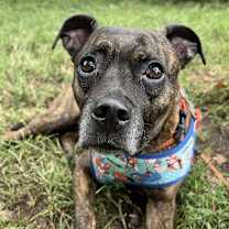 Thumbnail photo of Zerega #4