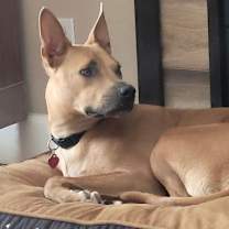 Thumbnail photo of Buddy #2