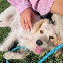 Thumbnail photo of Lady Bug II #1