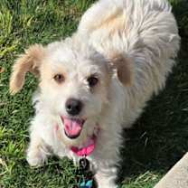 Thumbnail photo of Lady Bug II #2