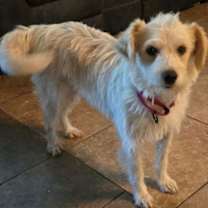 Thumbnail photo of Lady Bug II #4