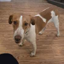 Thumbnail photo of PA/Molly #3