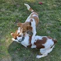 Thumbnail photo of PA/Molly #4