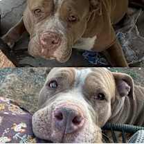 Thumbnail photo of Jess #1