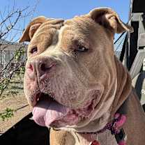 Thumbnail photo of Jess #2