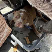 Thumbnail photo of Jess #4