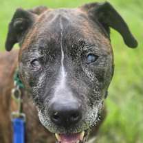 Thumbnail photo of Jax #3