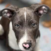 Thumbnail photo of Jessie #2