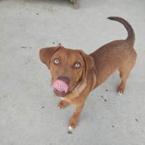 Thumbnail photo of Jimi Hendrix #1