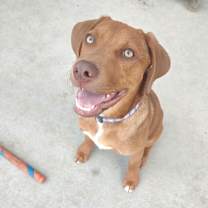 Thumbnail photo of Jimi Hendrix #2