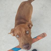 Thumbnail photo of Jimi Hendrix #3