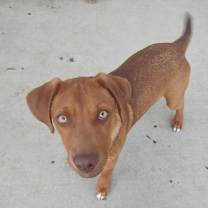 Thumbnail photo of Jimi Hendrix #4