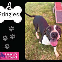 Thumbnail photo of Pringles #2